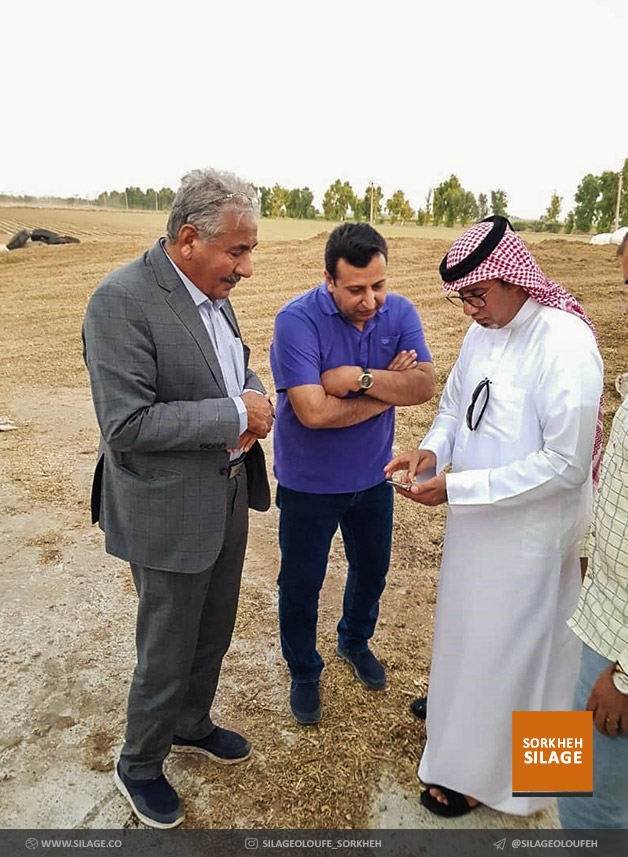 بازدید خریدار اماراتی علوفه از شرکت سیلاژ علوفه سرخه و رضایت صد درصدی وی از کیفیت.