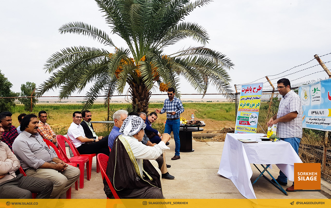 برگزاری کلاس تغذیه محصولات کشاورزی با کودهای زیستی