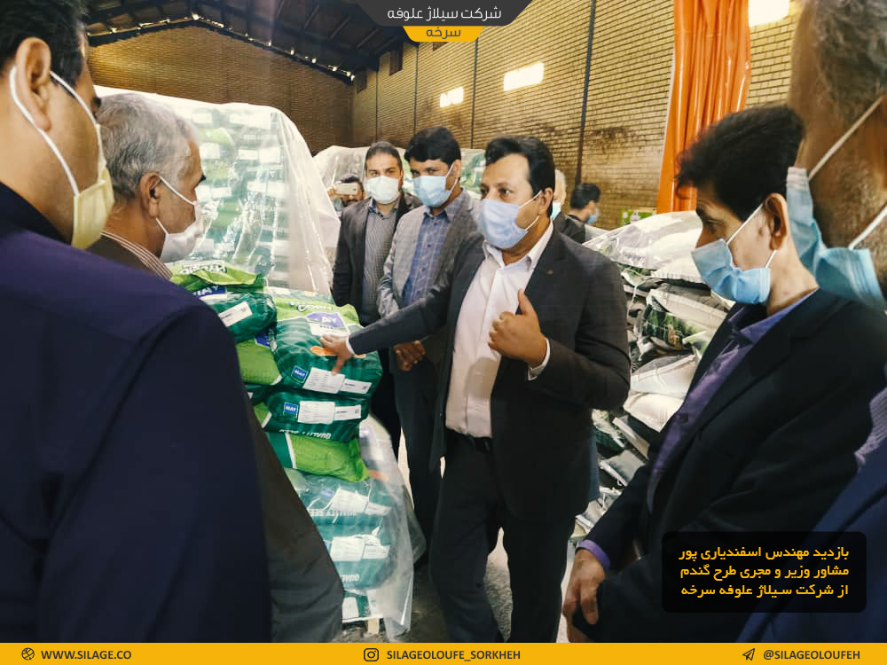 بازدید مهندس اسفندیاری پور مشاور وزیر و مجری طرح گندم از شرکت سیلاژ علوفه سرخه